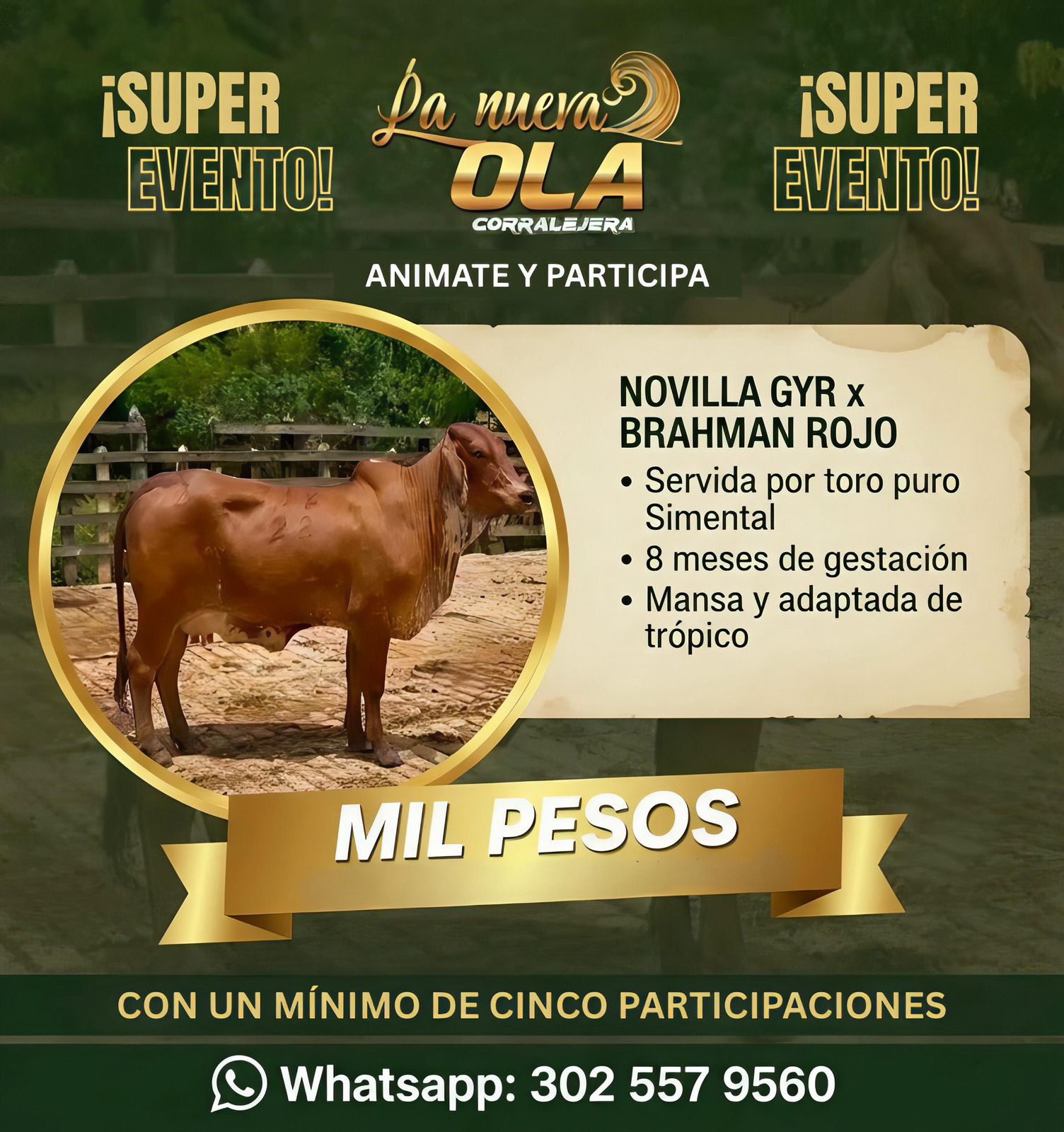 Flyer del evento